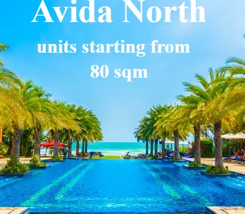avida north