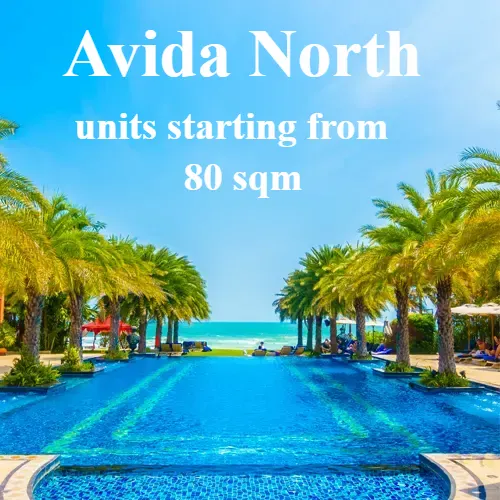 avida north