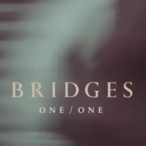 one of one development project