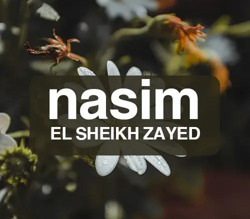 nasim el sheikh zayed