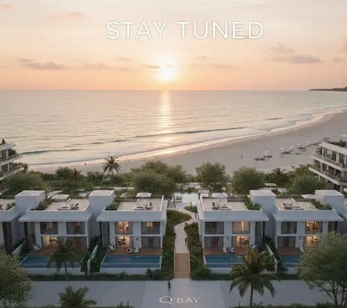 كيو باى الساحل الشمالي q bay north coast