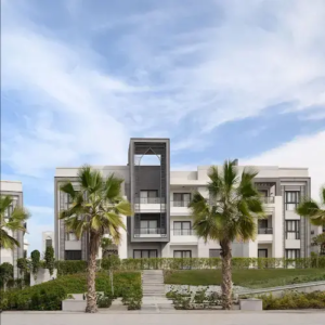 the morning new cairo