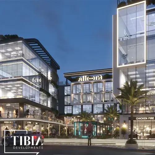 Tibia development company