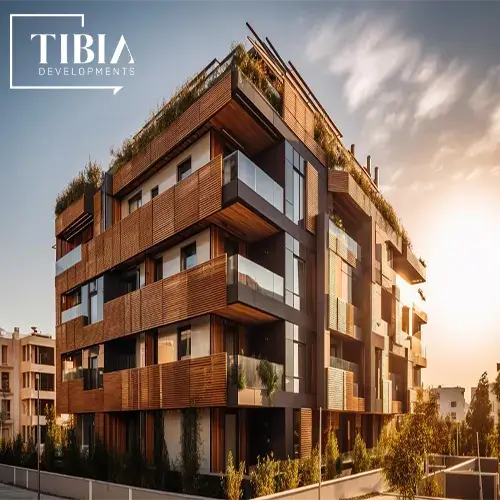 Tibia development
