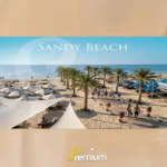 sandy coast