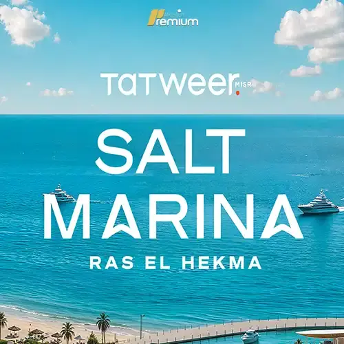salt marina photo