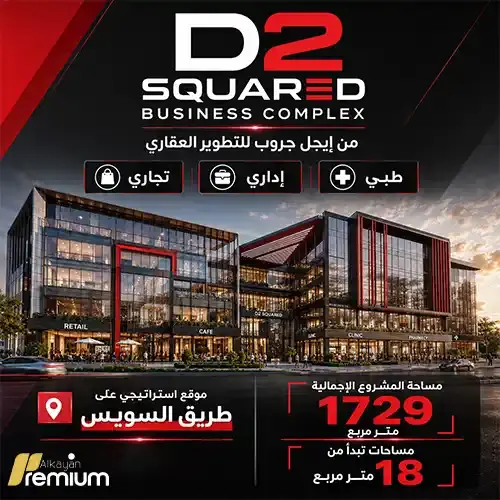 d2 squared business complex project