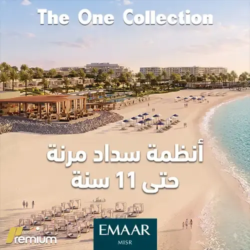 the one collection offer (1)