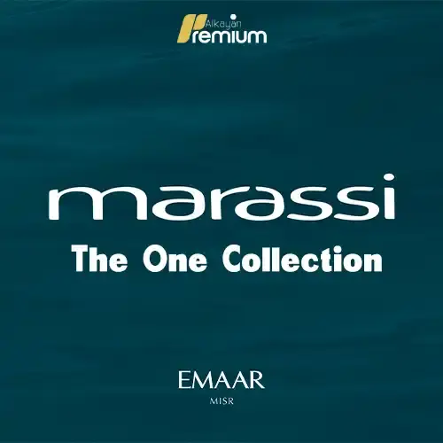 the one collection photo (1)
