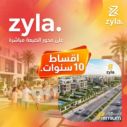 zyla new zayed offer