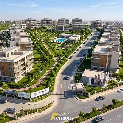 brilliant development project
